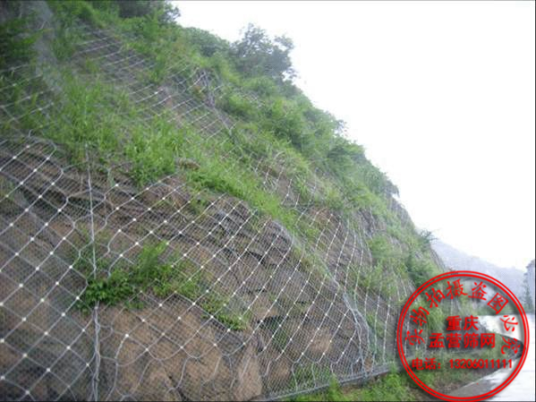 SNS主動防護網(wǎng)
